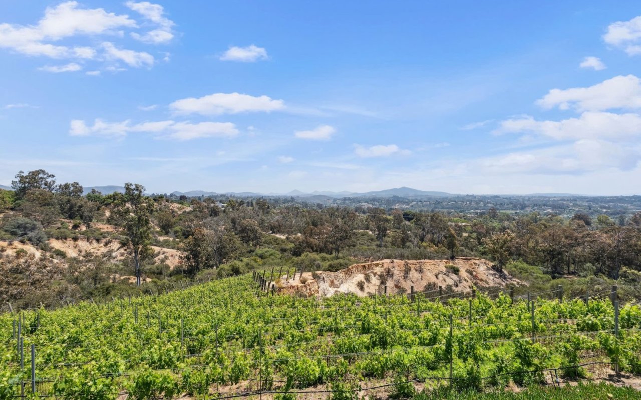 From Eucalyptus Trees to “Gentleman Farmers”: How History Shaped the Covenant of Rancho Santa Fe — Featuring Our New Listing at 5653 Linea Del Cielo