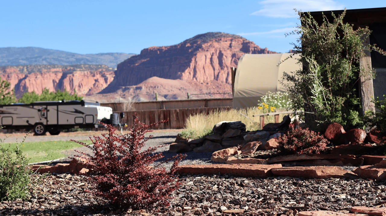 Torrey Land & Greenhouses