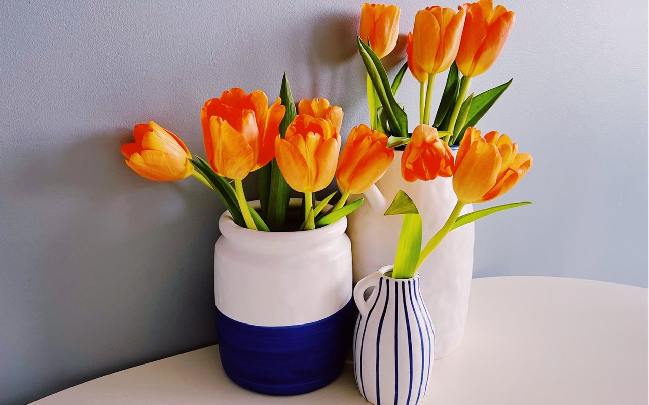 Spring Home Maintenance Tips for Napa Valley Homes