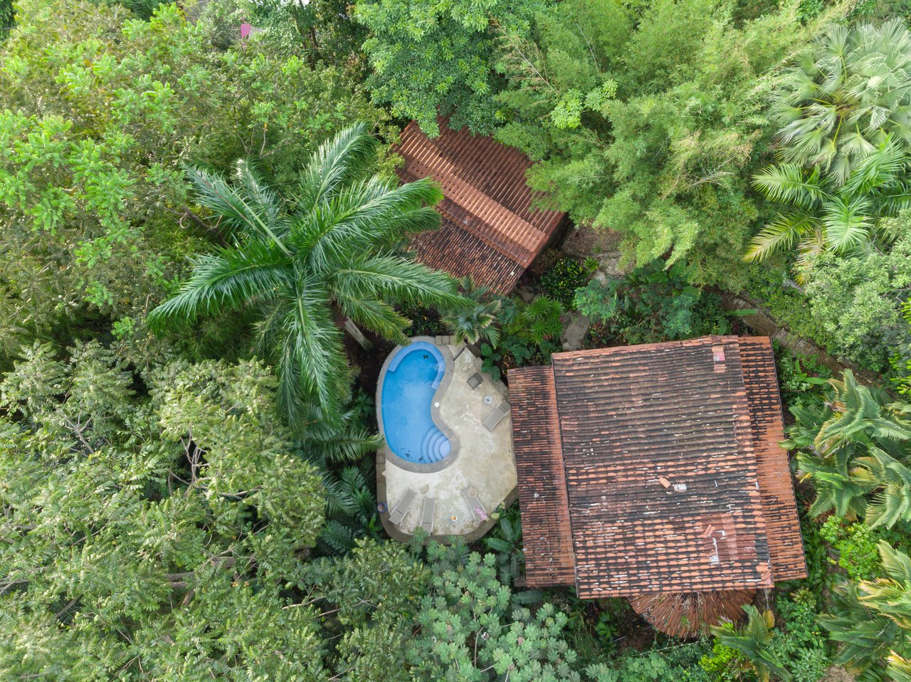 Villa Bailarin, Jungle Elegance