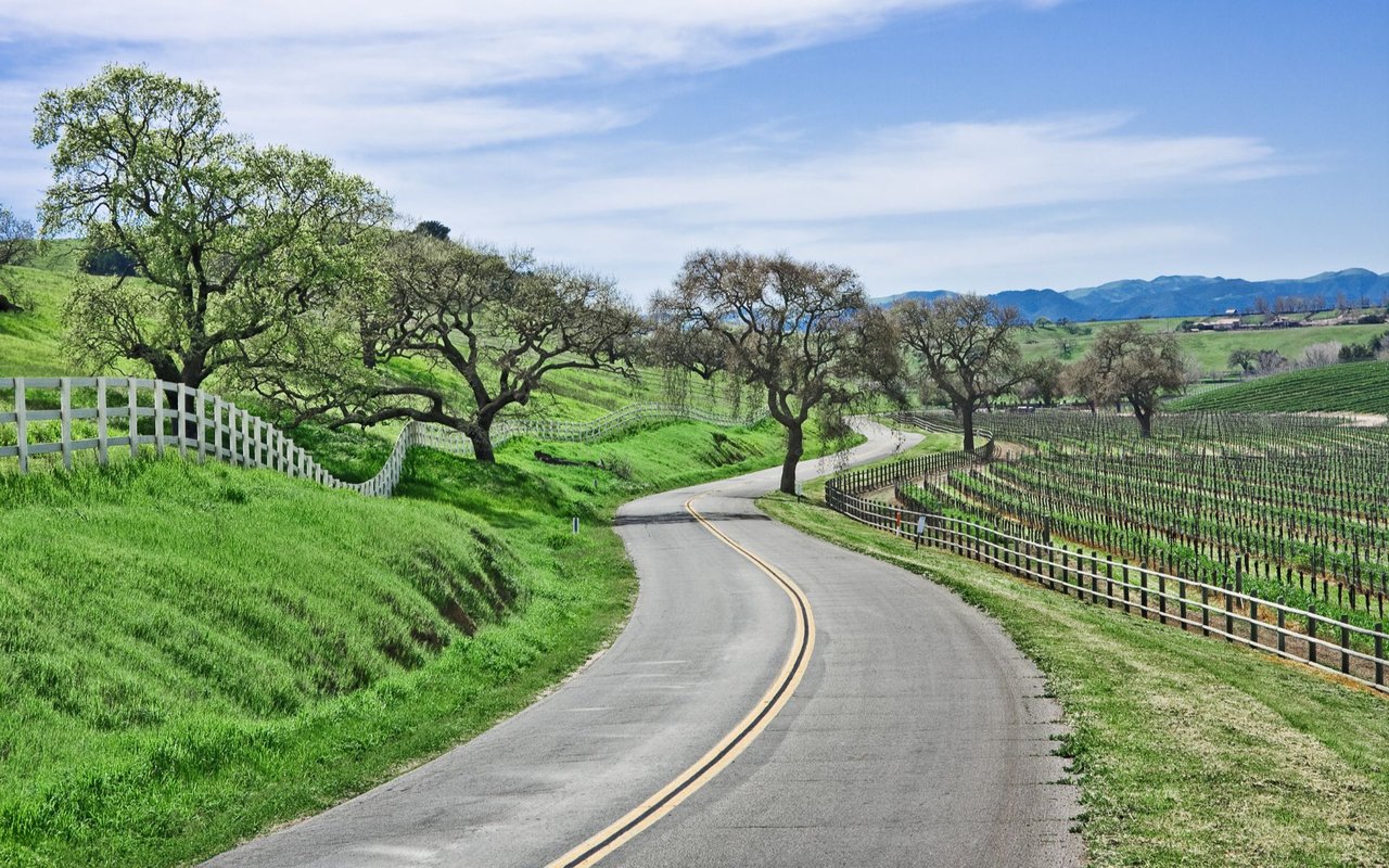 Los Olivos