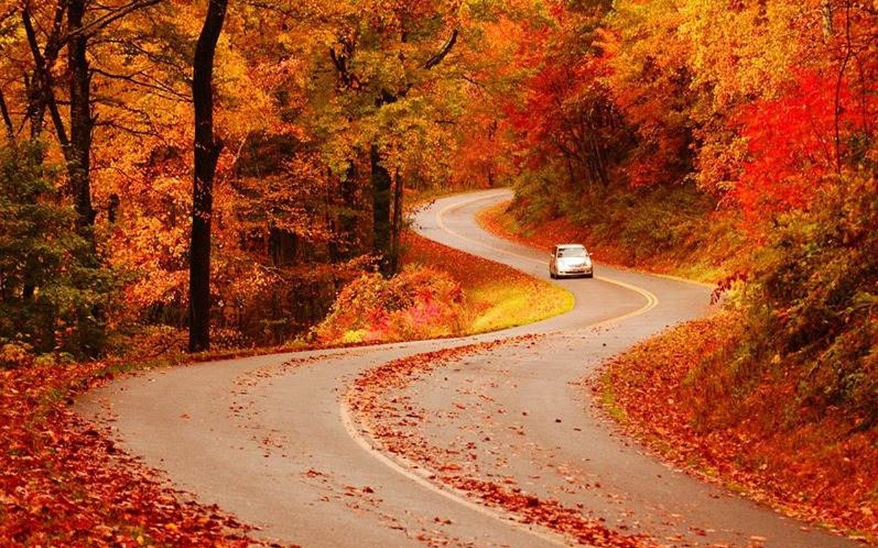 Beautiful Fall Scenery to Capture on the Blue Ridge Parkway