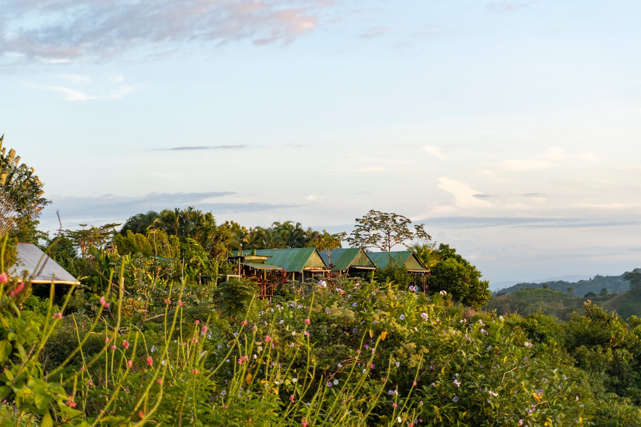 67 acres development (15 titled lots) with breathtaking views in Sierpe