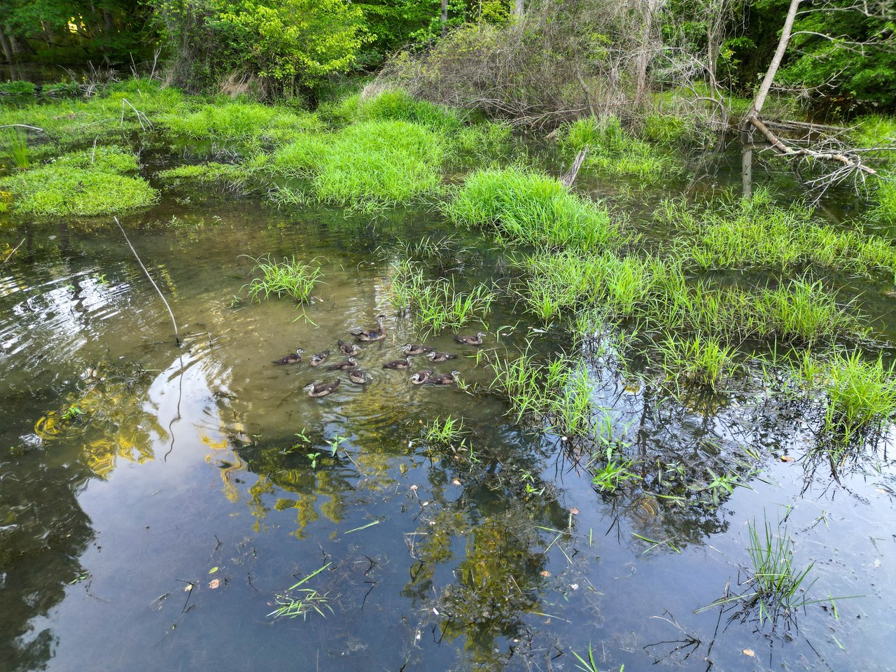The Ranches at Sandy Creek