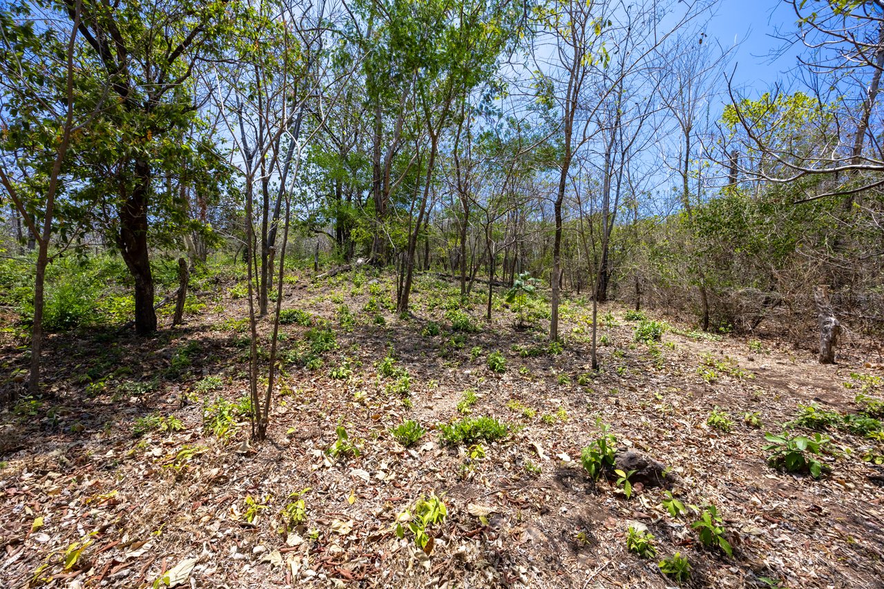 Playa Grande Lot #3 | 1,450 m² Lot Near the Beach in Playa Grande