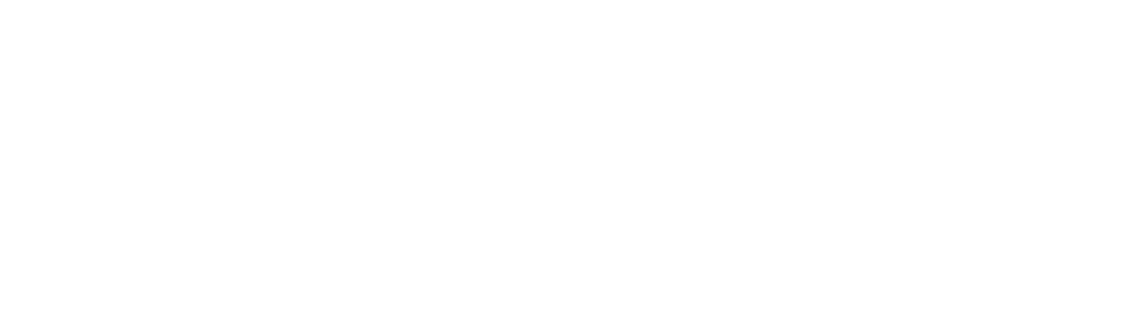 Light Logo