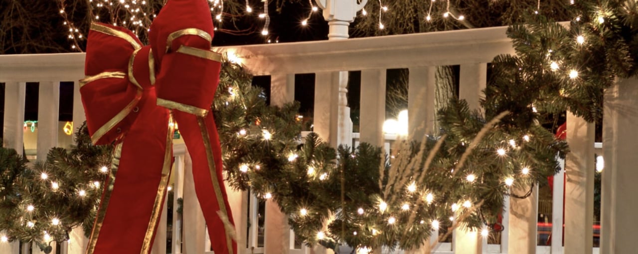 Designed to Shine: Tips for Elegant, Natural Holiday Curb Appeal