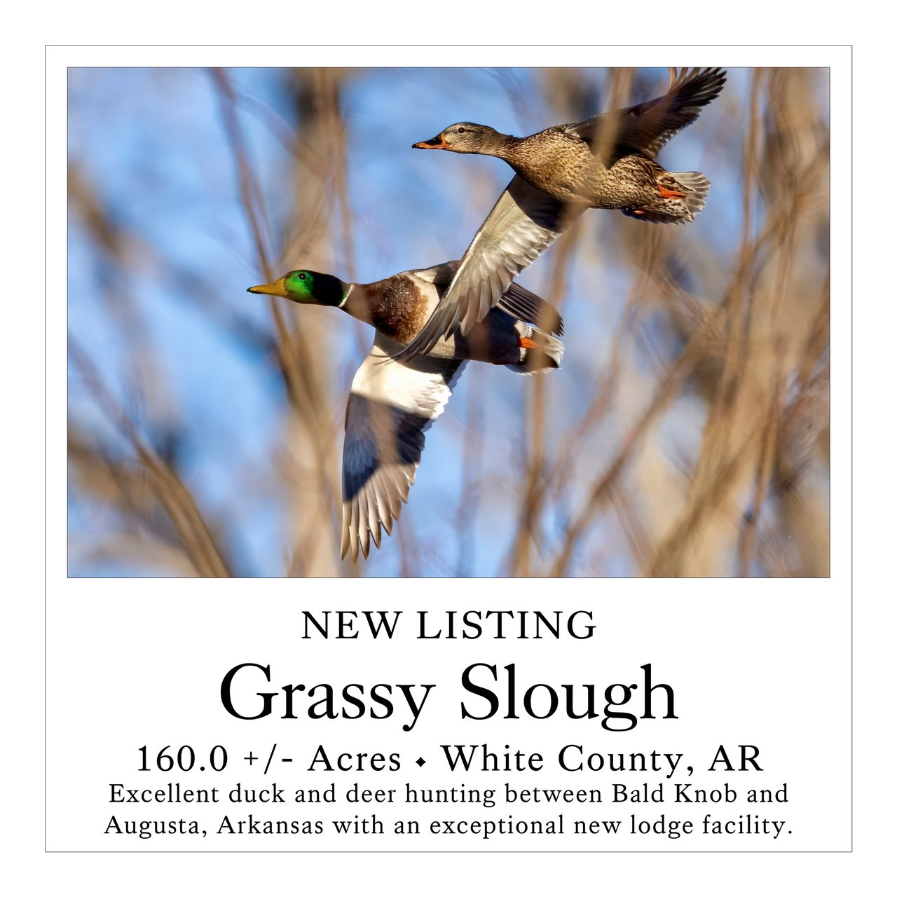 Grassy Slough