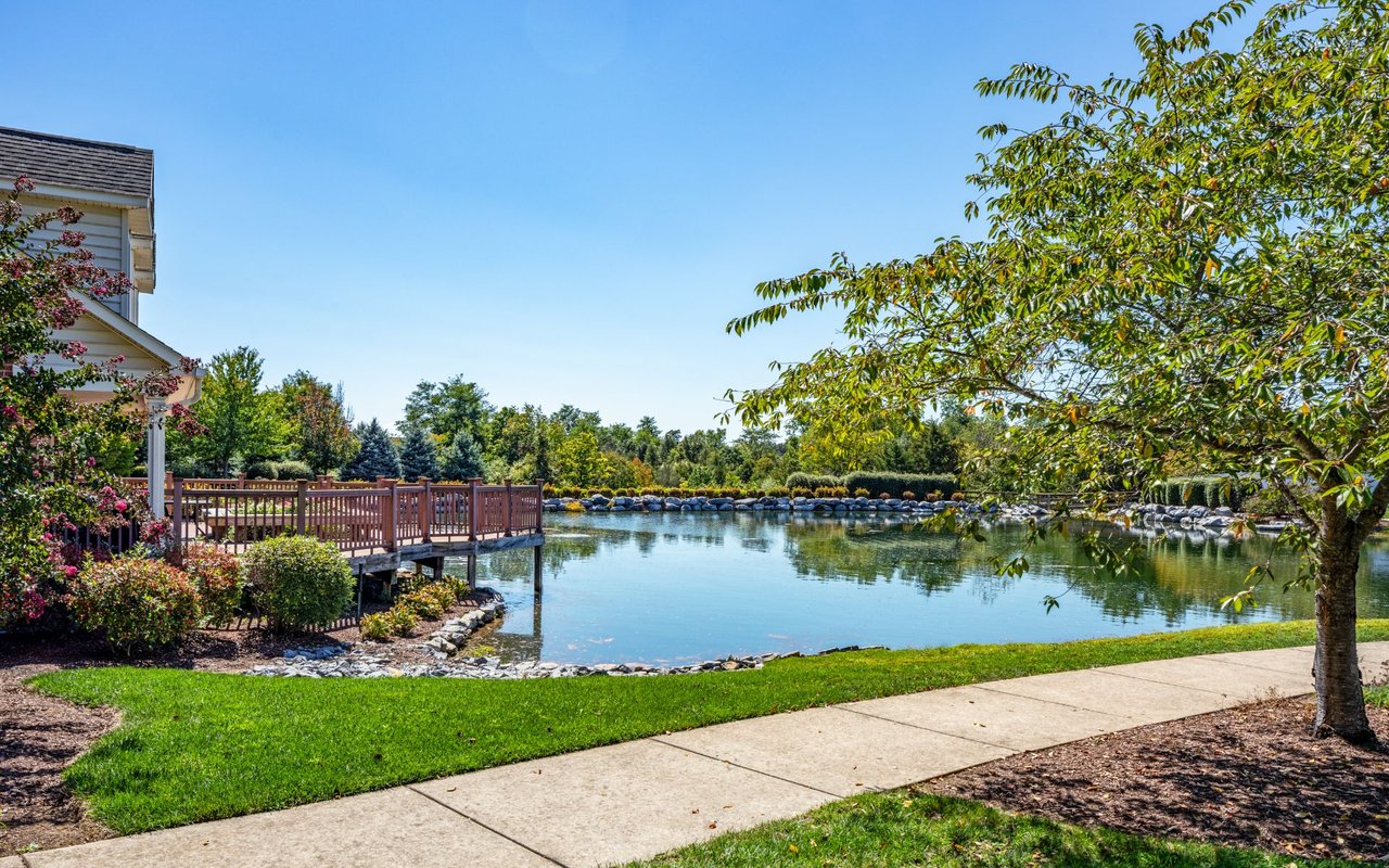 Cedar Meadows