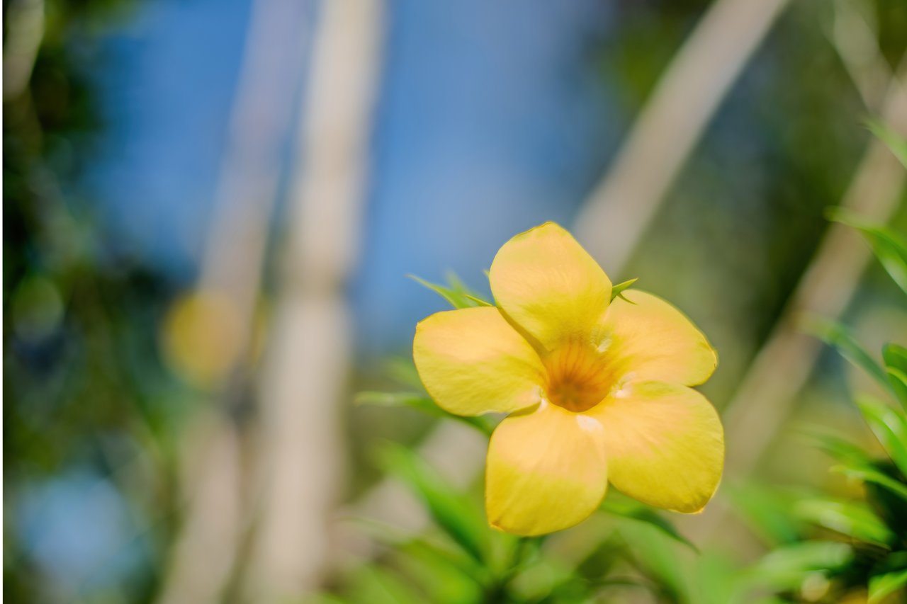 Vista Serena, beautiful House surrounded by nature in Villa Nueva de Quepos