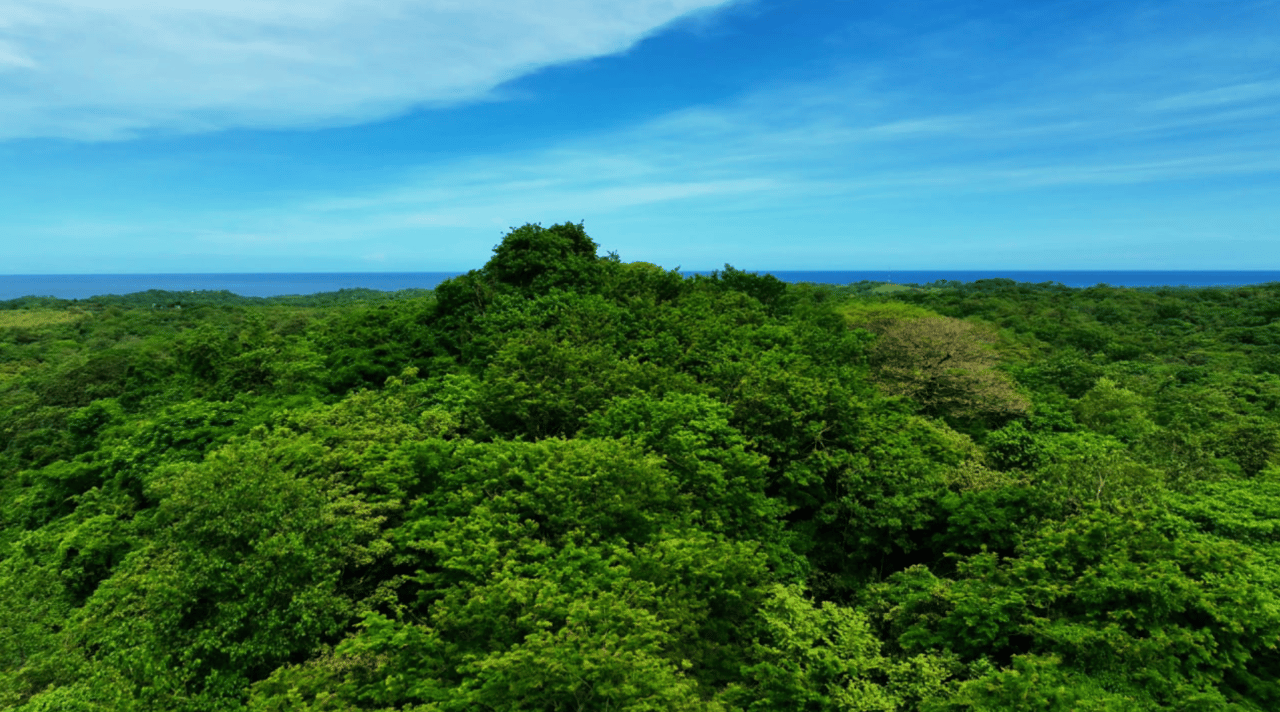 Eco Sanctuary In Playa Marbella - 250 Acre Riverfront