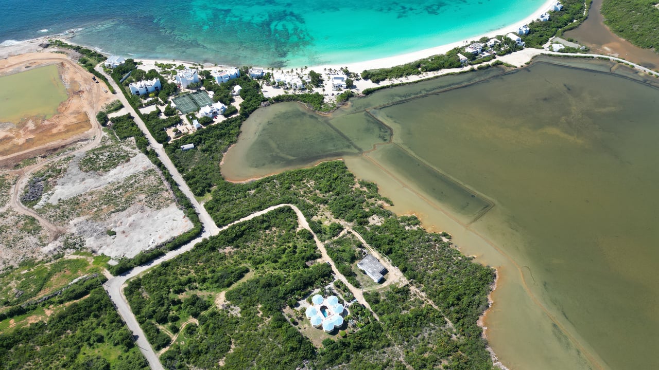 Octagon Villa West End