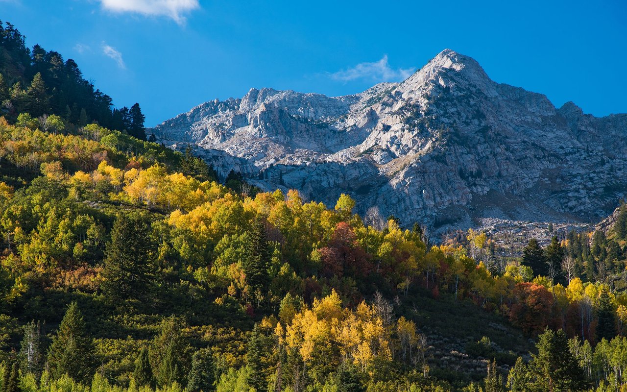 American Fork