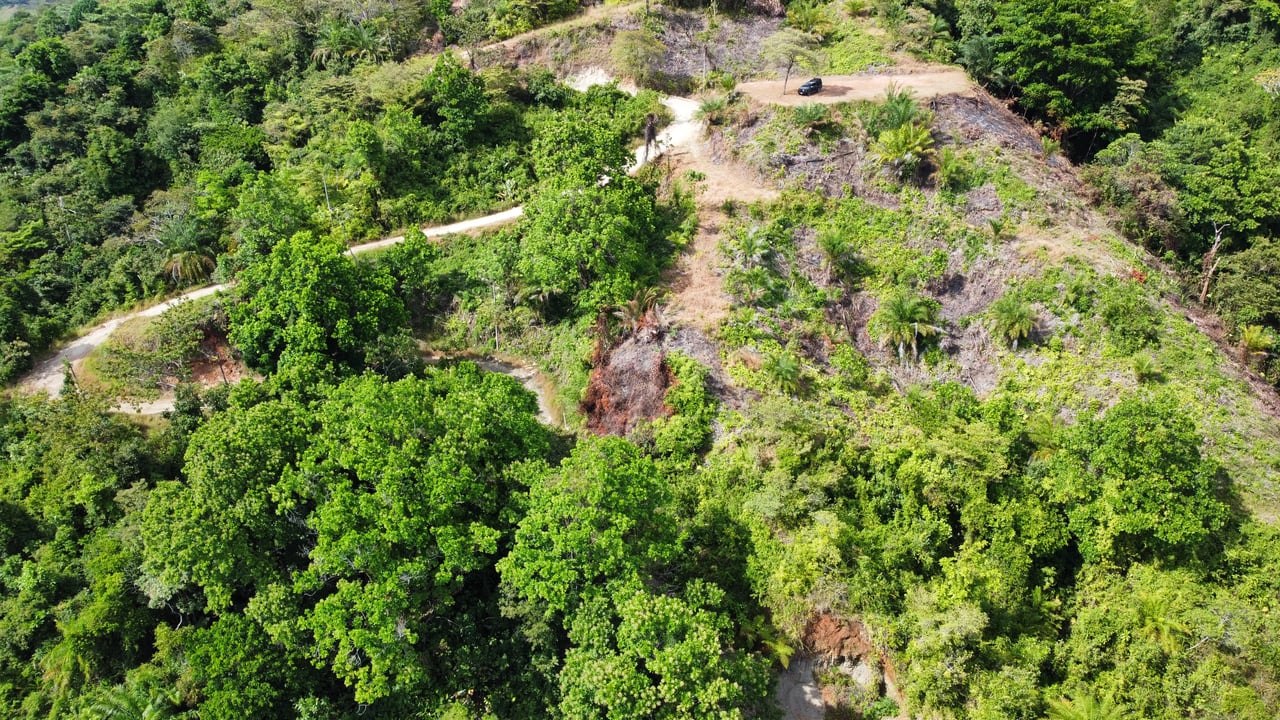 Breathtaking Ocean-View Estate: Over 1 Hectare of Serenity and Sunset Magic