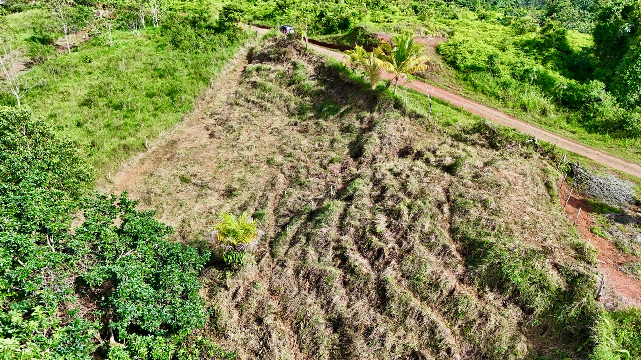 Off-Grid Ocean View Lot | 1.7 Acres in Las Nubes Matapalo Hills 