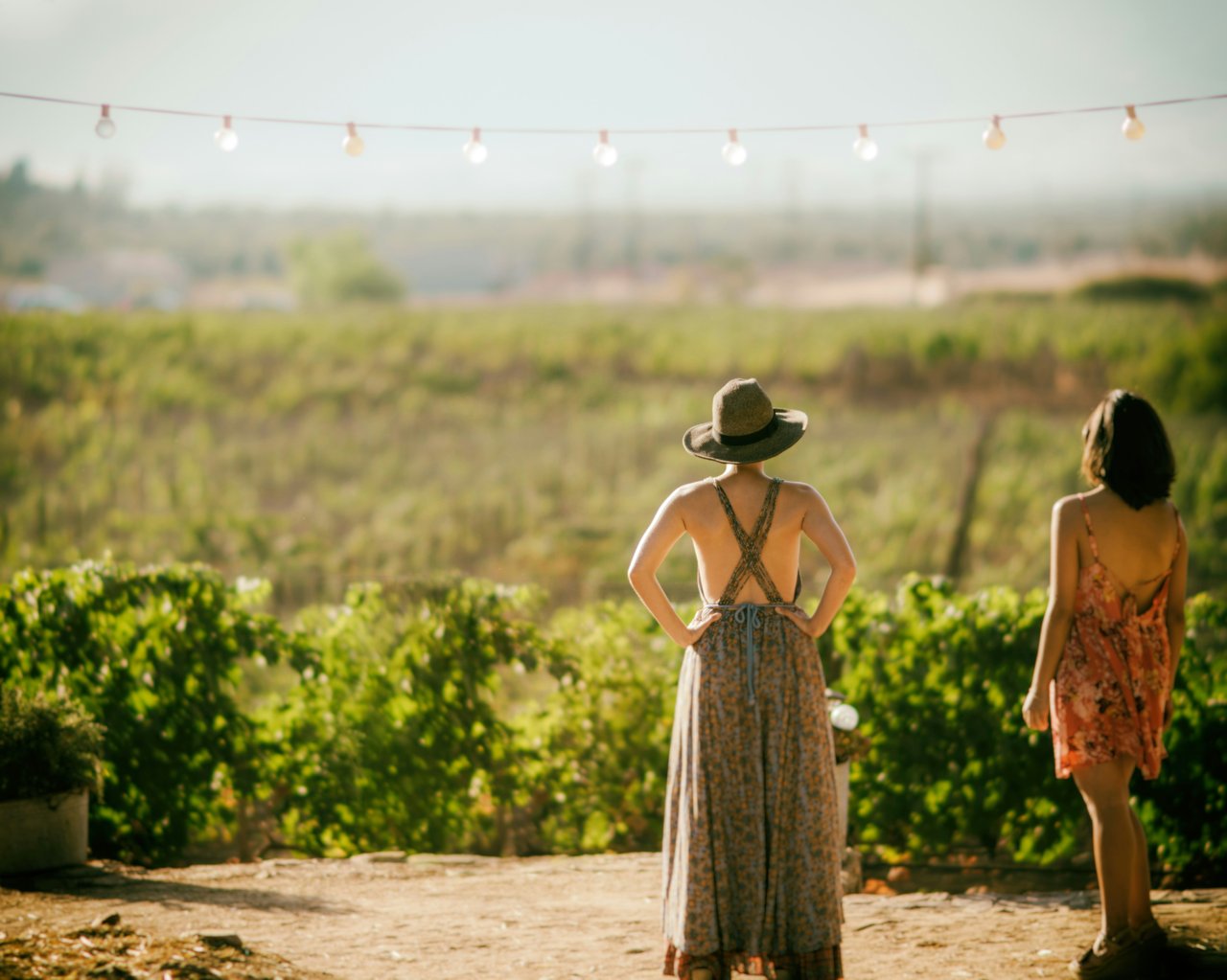 Harvest Magic in Sonoma County: 10 Festivals and Feasts 