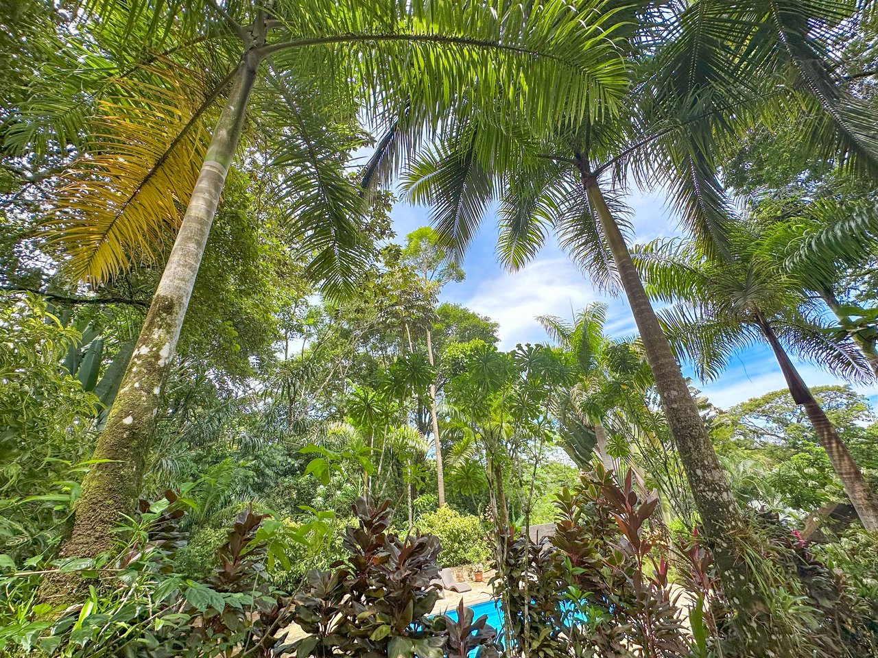 Ojochal Property for Sale – Cabins, Restaurant & 3-Bed Home