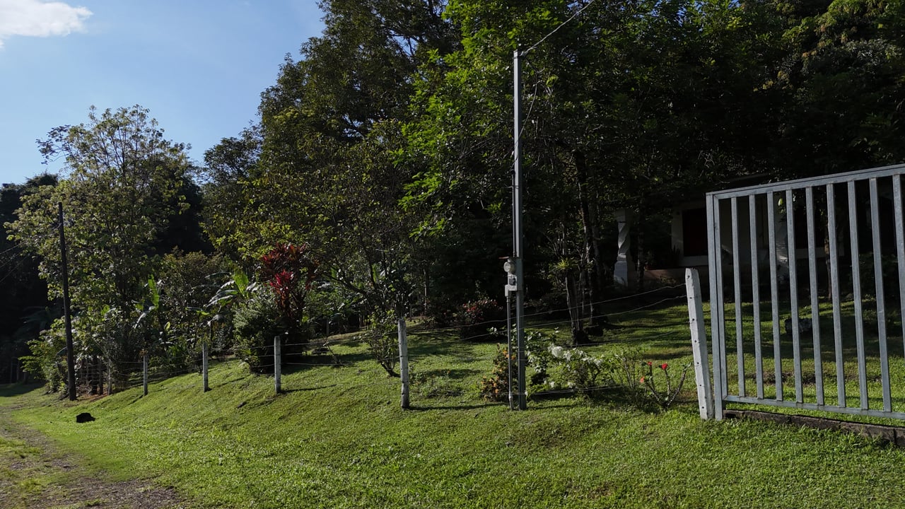 Commercial & Residential Property in Punta Mala with Producing Fruit Trees