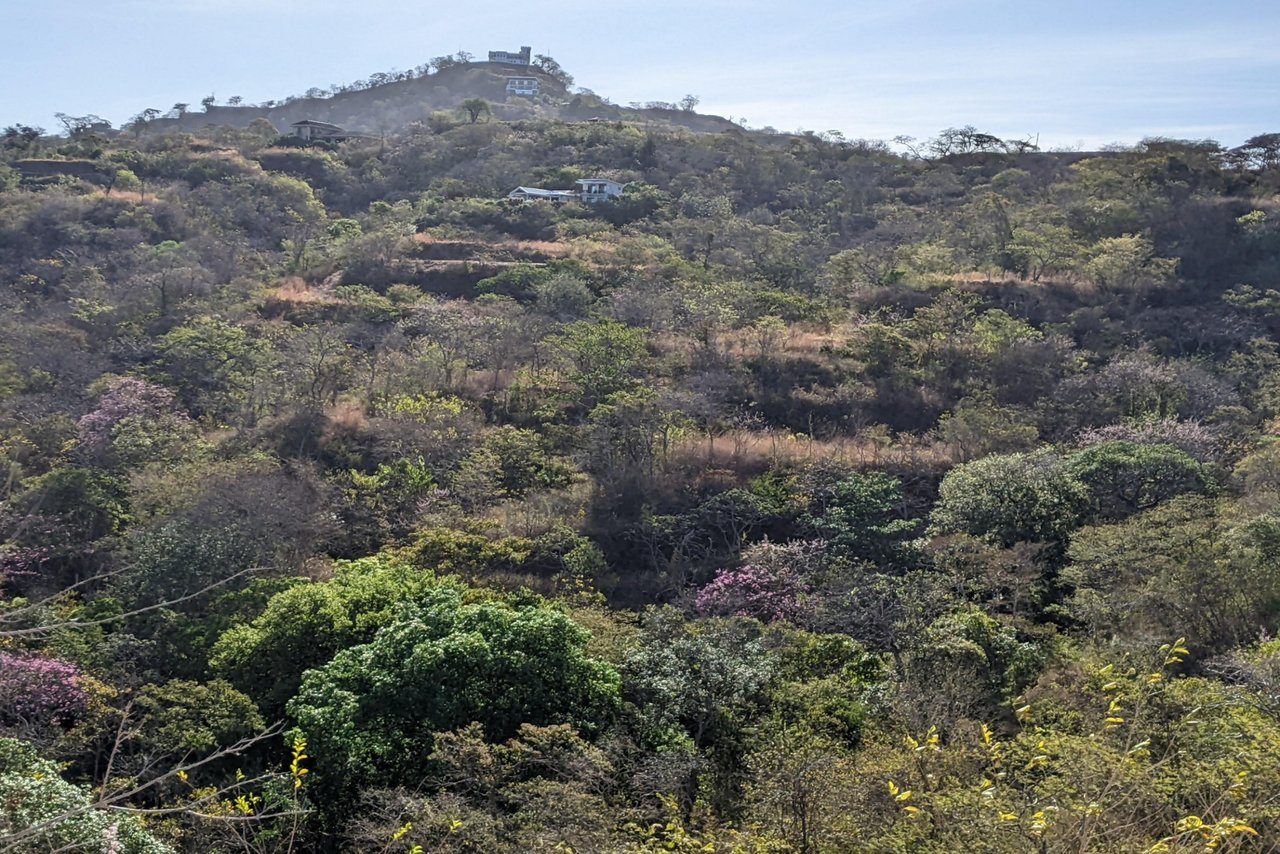 Pacific Heights Lot 22B – BEST PRICED OCEAN VIEW LOT WITH WATER