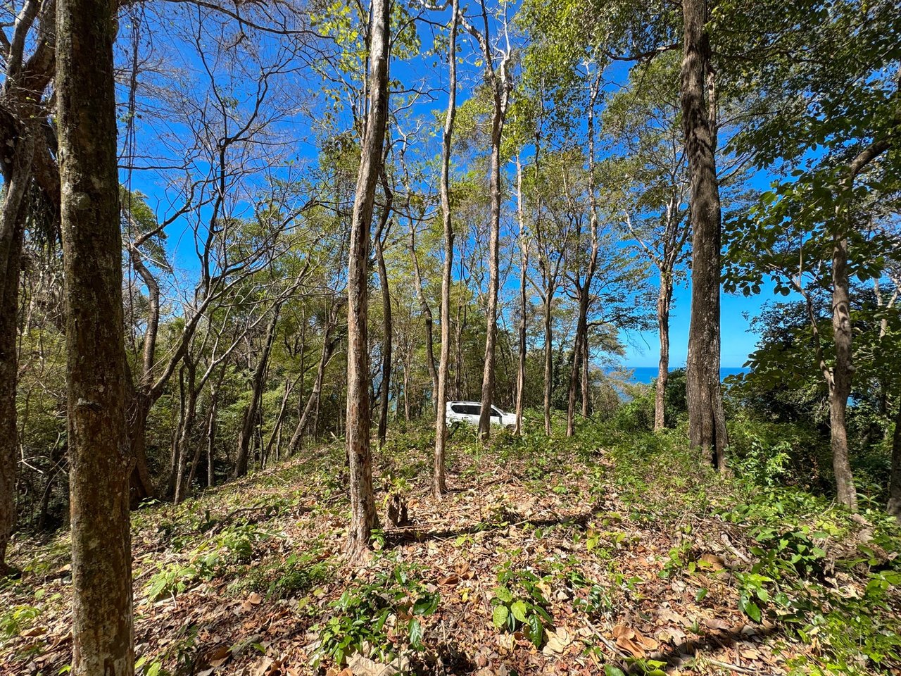 Refined Ocean View Development Parcel, Santa Teresa, Puntarenas