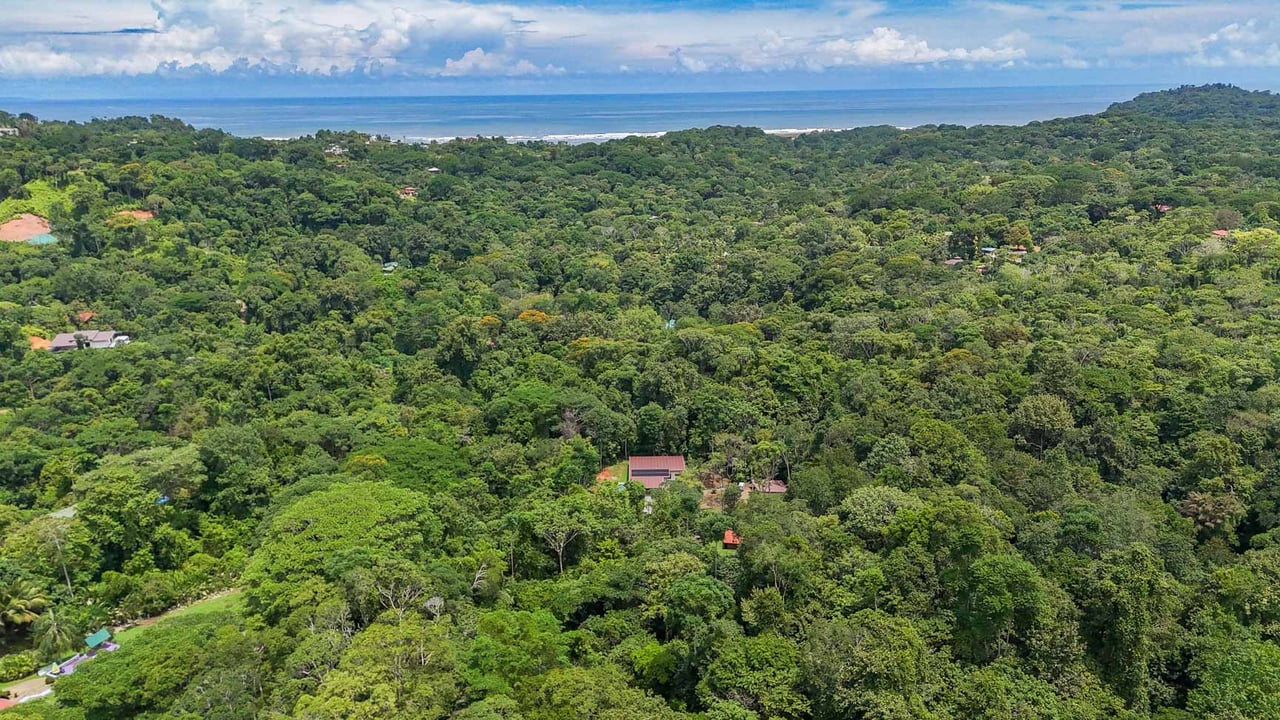 Jungle Home with Riverfront and Orchard in Ojochal Costa Rica