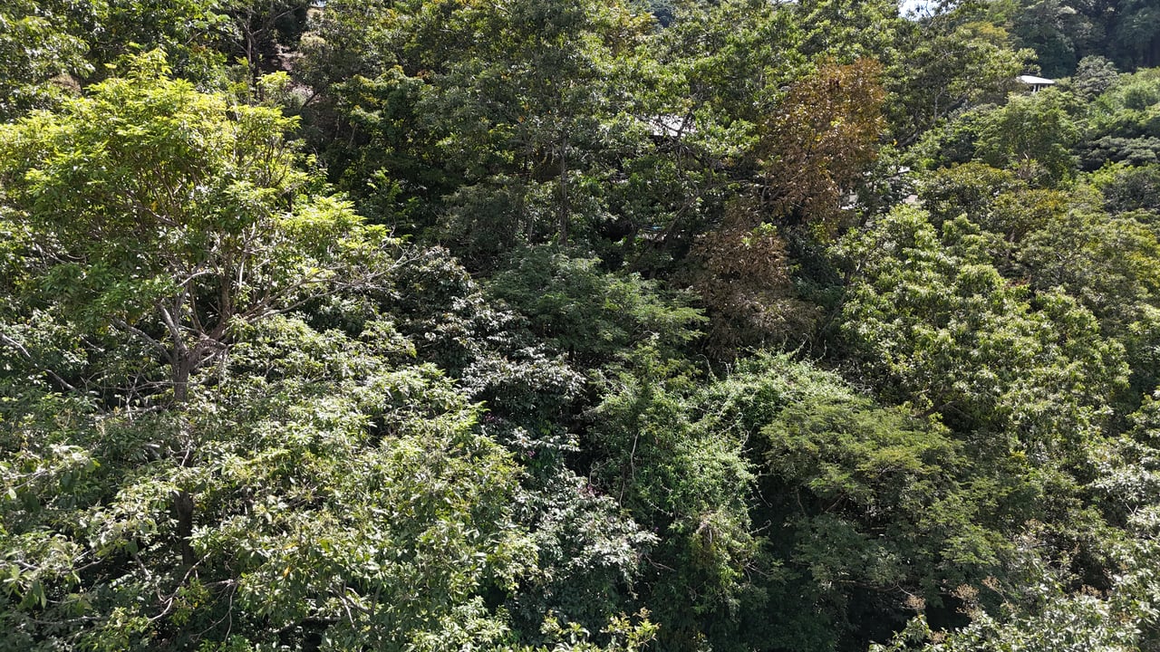 Luxury Gated Ocean-View Land Minutes from Manuel Antonio National Park and Marina