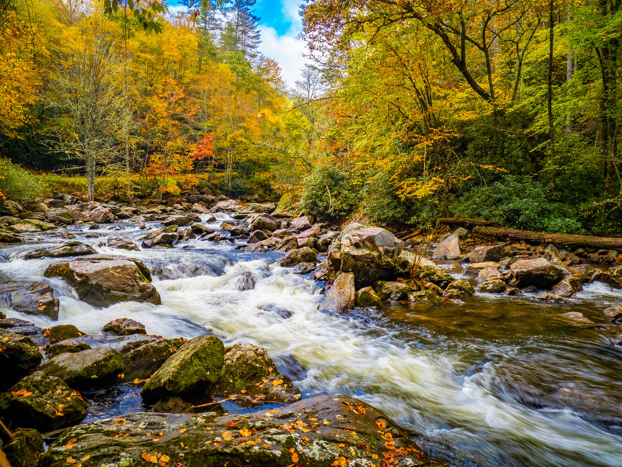 Real estate agents in otto, nc with river rushing past