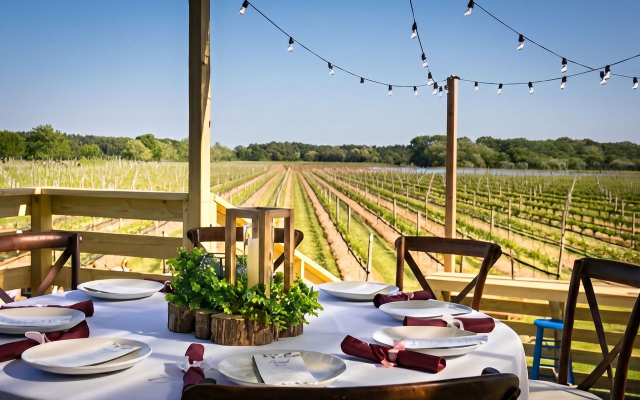 Sip, Savor, and Stroll: The Top DFW Wineries to Visit This Autumn