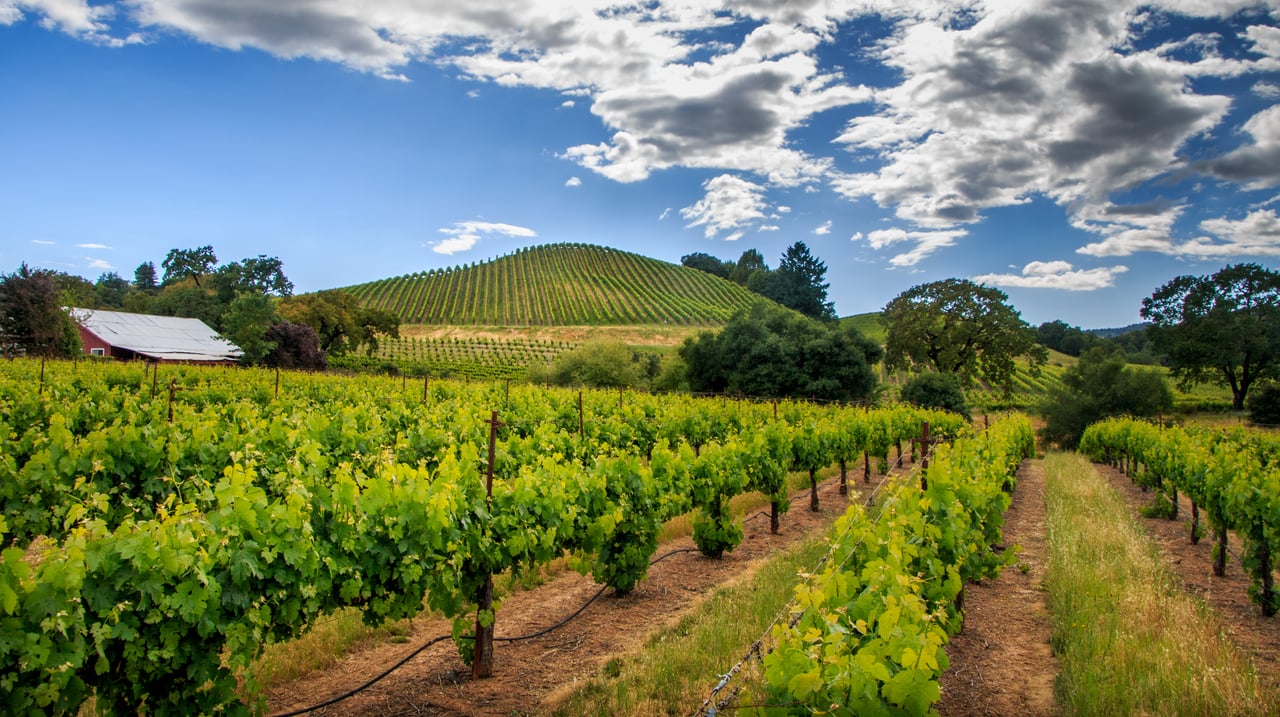 Sonoma County Market Update – April 2026