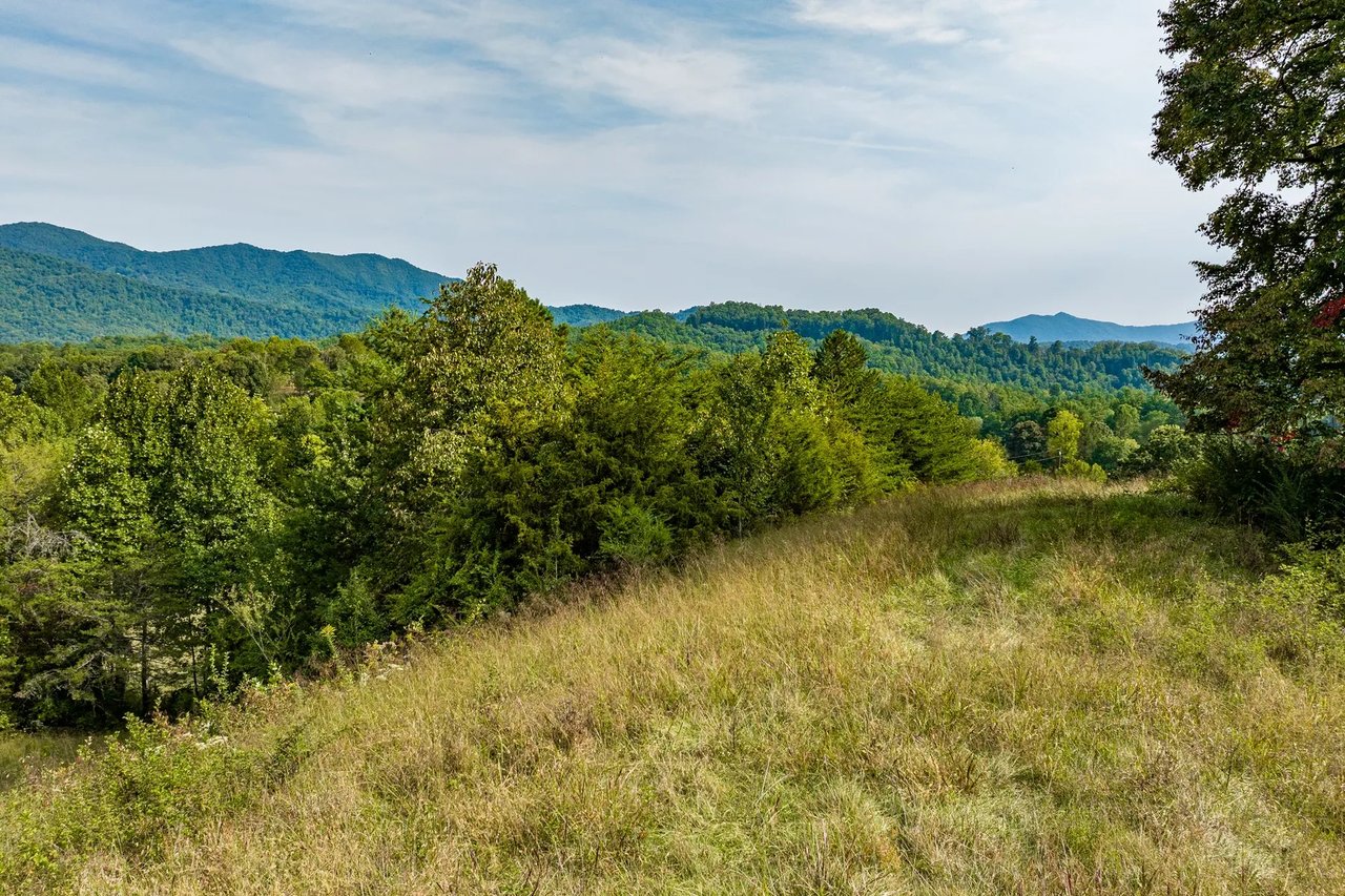 4.11 Acres, Cattle Dr