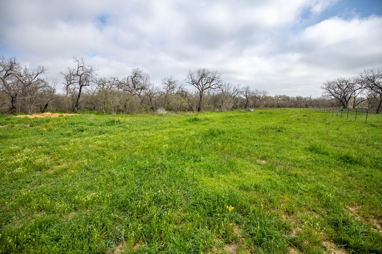 Dry Hollow Creek Ranch | 21.96± Acres | Bexar County