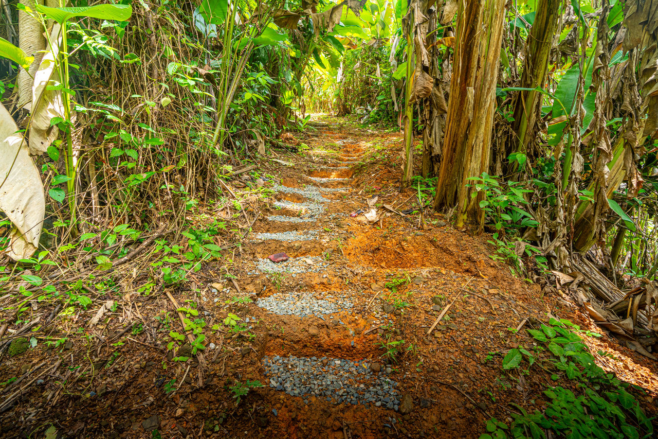 Amazing Mountain View and Ocean View House and Guest House on 4.5 Acres of land in Ojochal