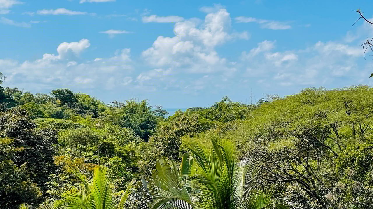 Charming 3 Bedroom Home on Lush Acreage with Pocket Ocean View