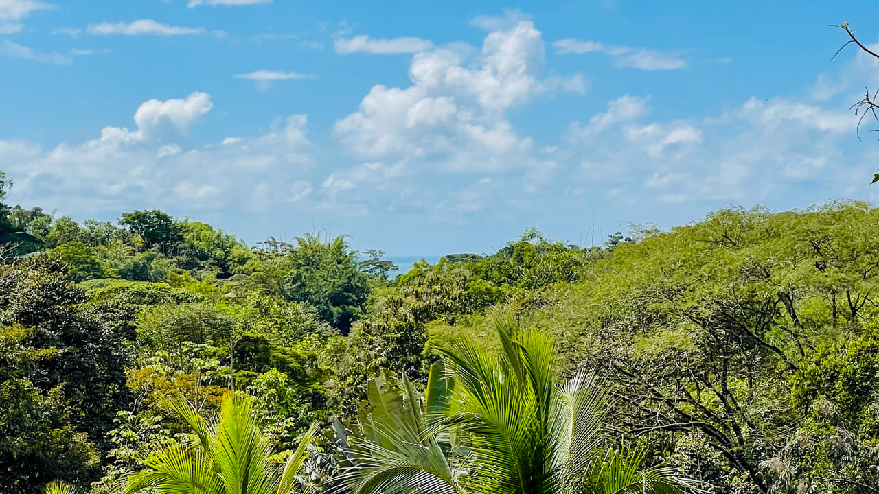 Charming 3 Bedroom Home on Lush Acreage with Pocket Ocean View