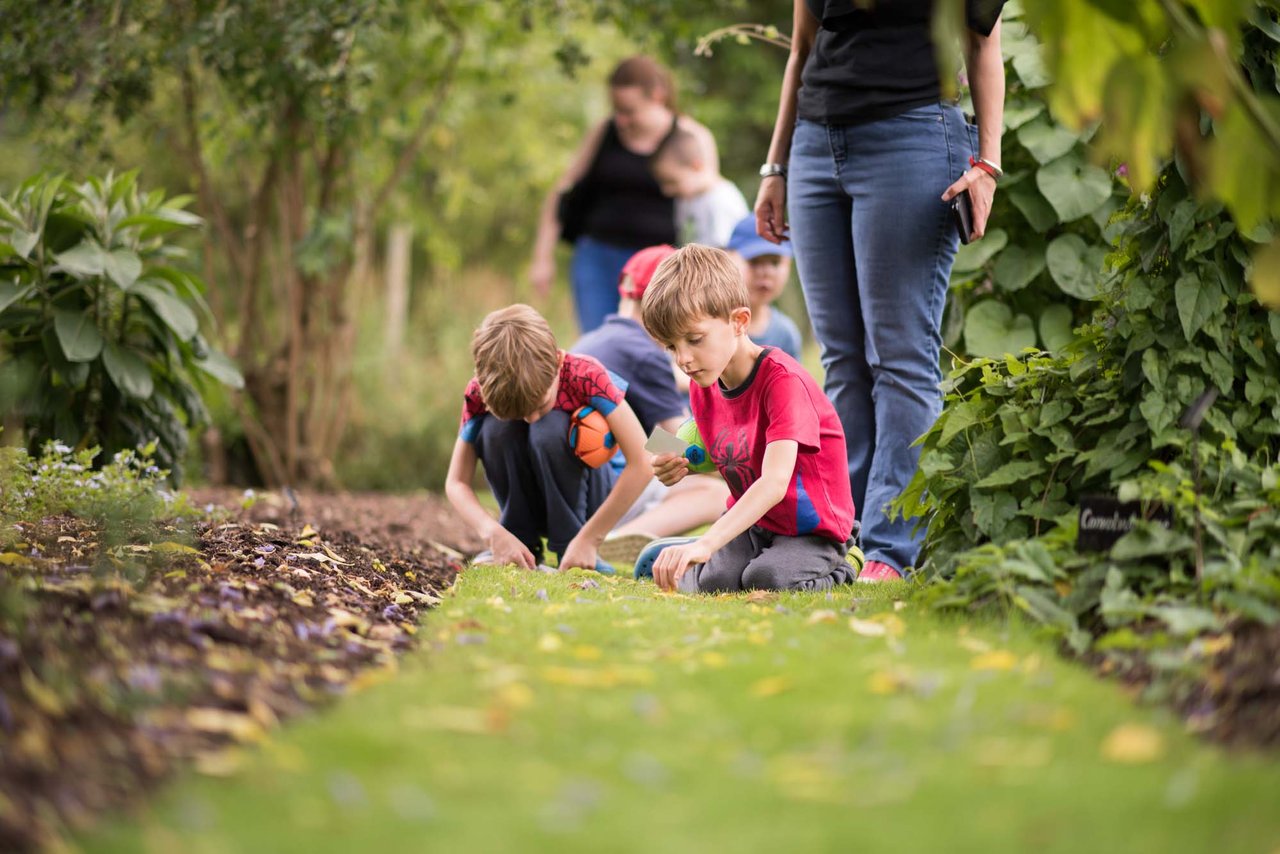How Families Make Chelsea Work: Parks, Schools & Play