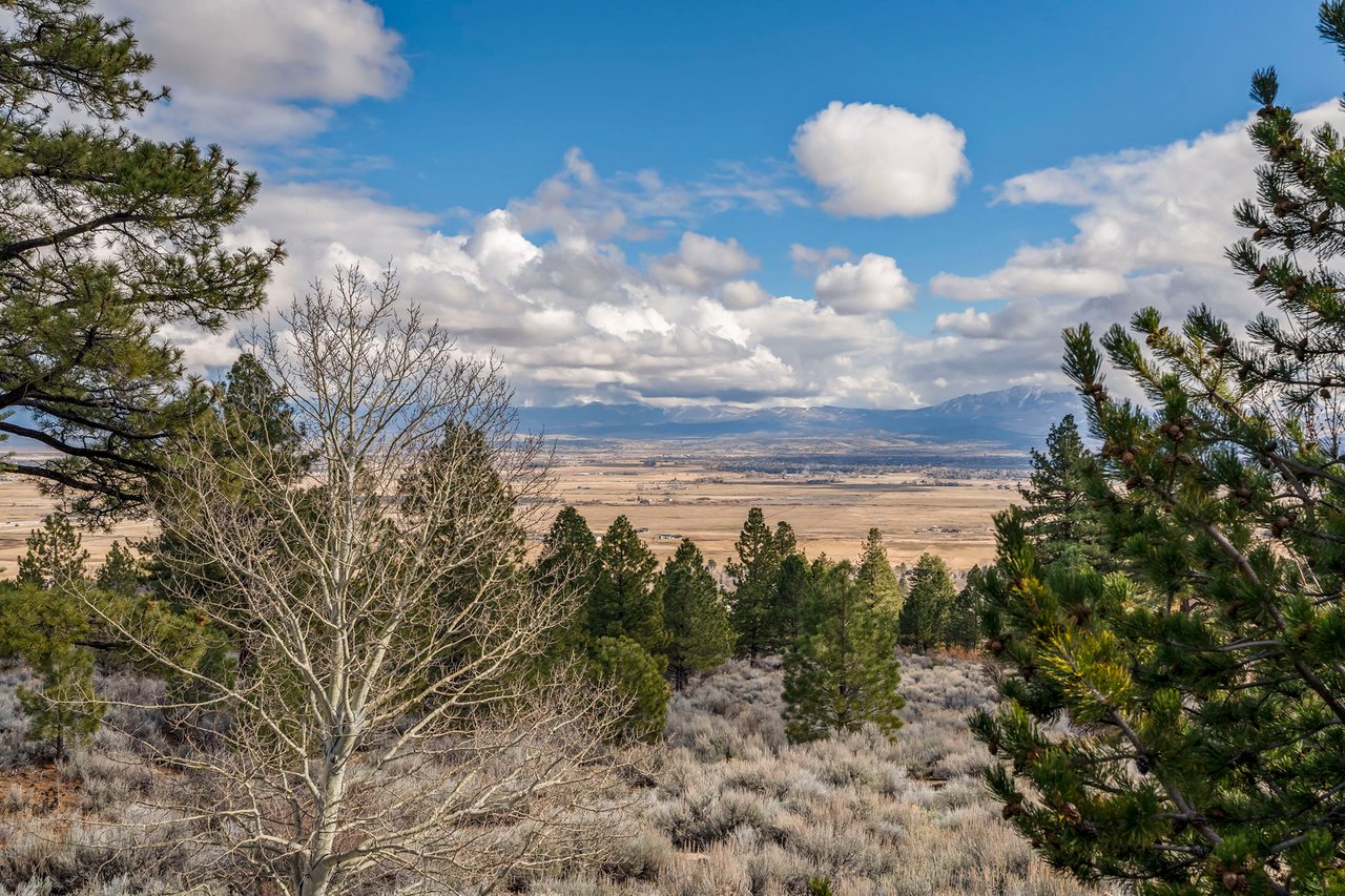 220 Sheridan Creek Court