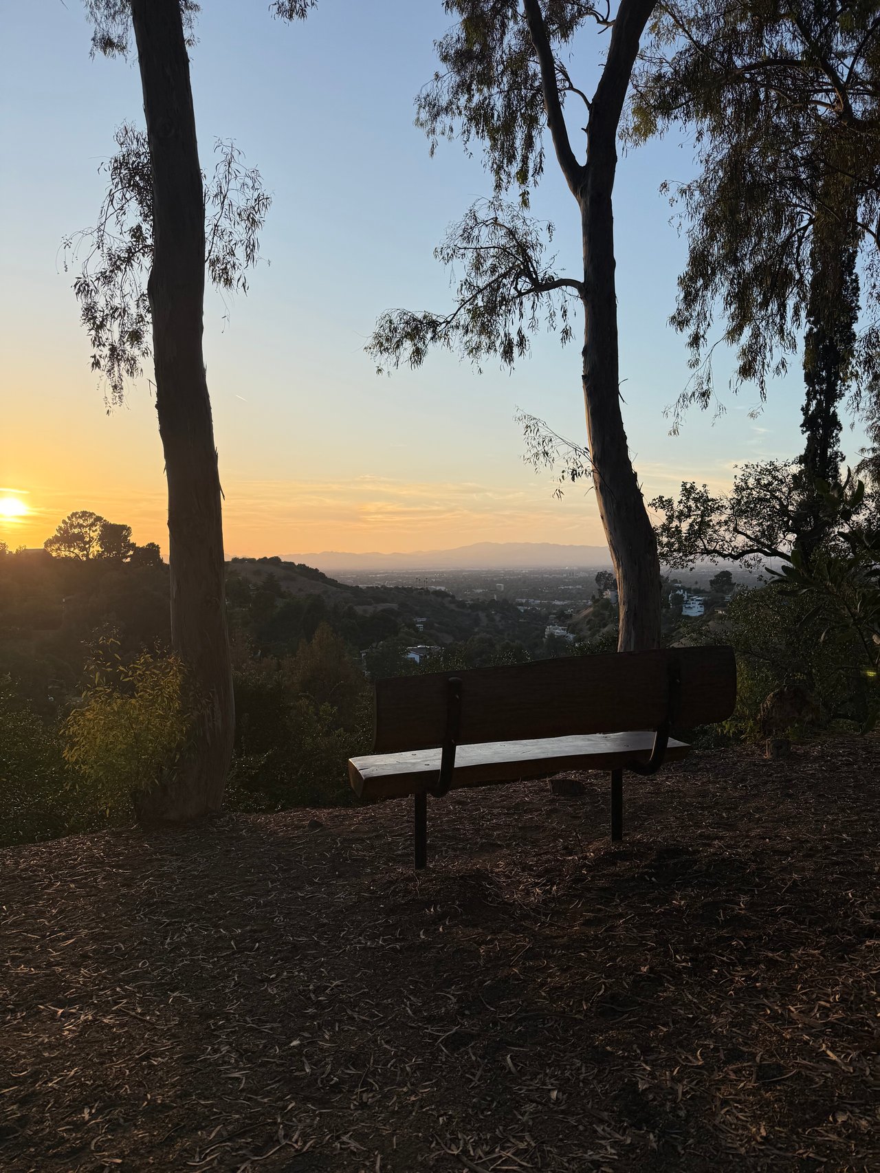 Living in Studio City: Everything You Need to Know Before You Move