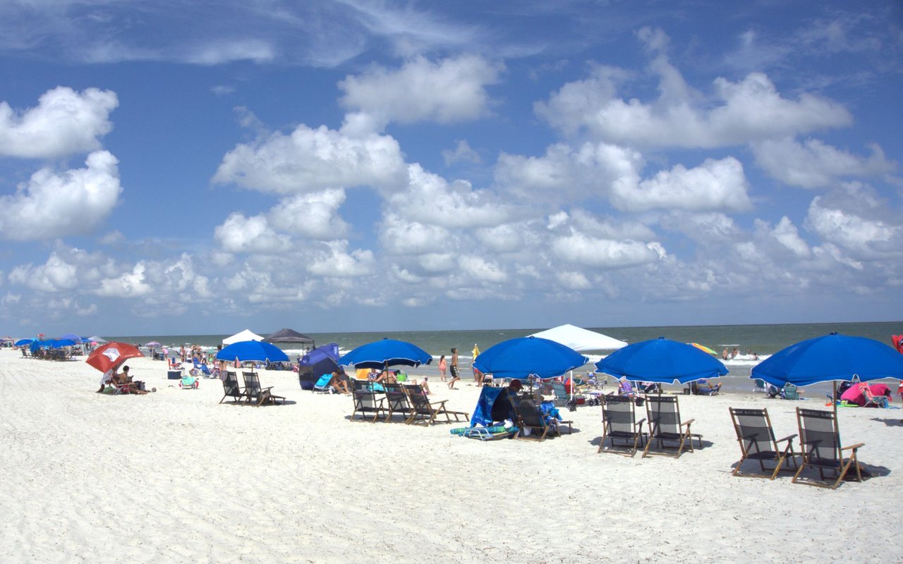 Forest Beach