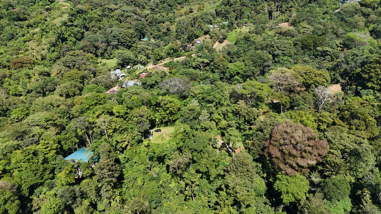 1.7 Acres Ocean View Lot with Producing Cabin in Uvita