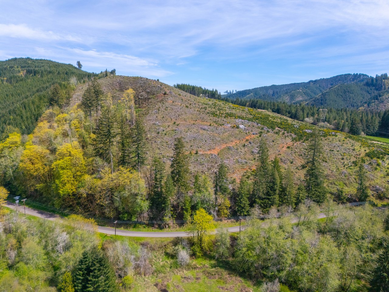 Nelson Mountain Meadows
