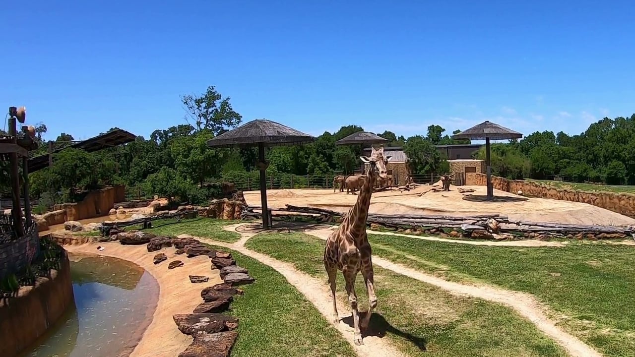 Hidden Gems in Tyler, TX You Need to Discover