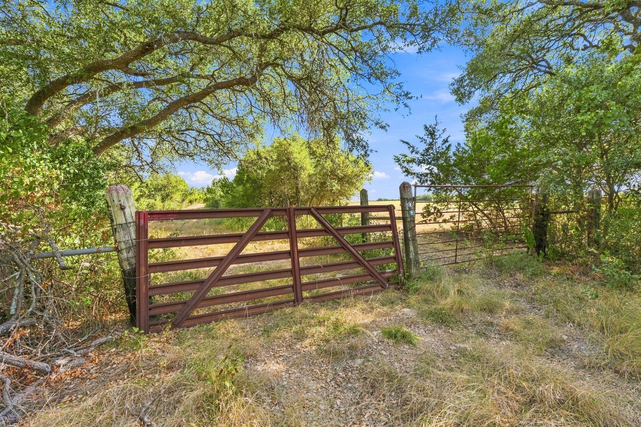 Ranch entrance with a red metal gate beneath broad oak trees.