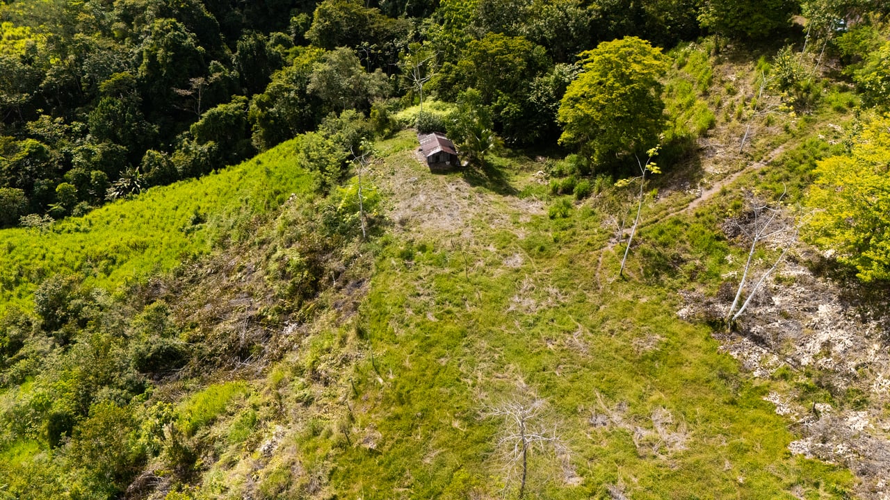 San Josecito Farm Above Uvita, 4 Acres, Creek and Usable Land