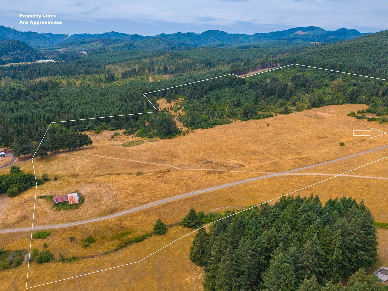 Sheffler Farm & Forest