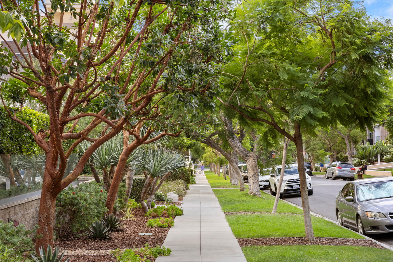 450 N Palm Dr Unit: 507, Beverly Hills 