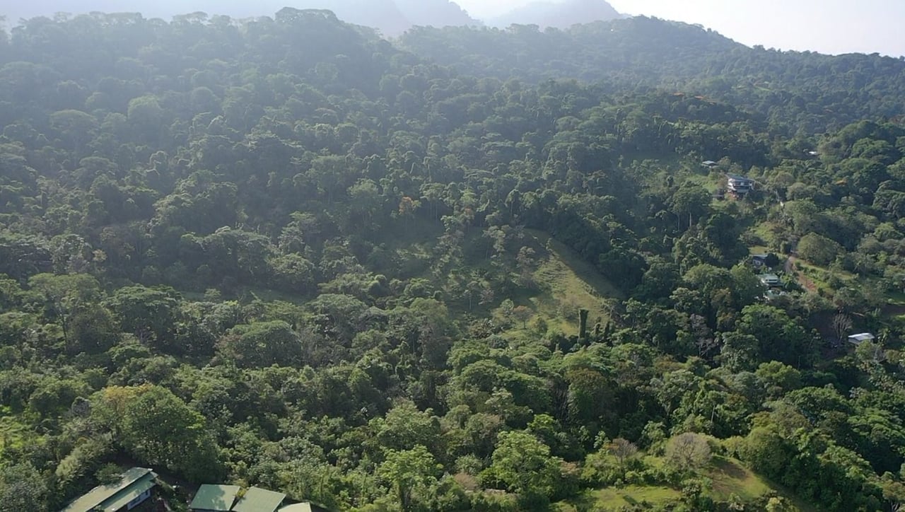 Prime Ocean and Whale tail View Development Land In Uvita
