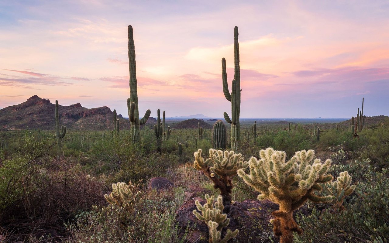 San Tan Valley