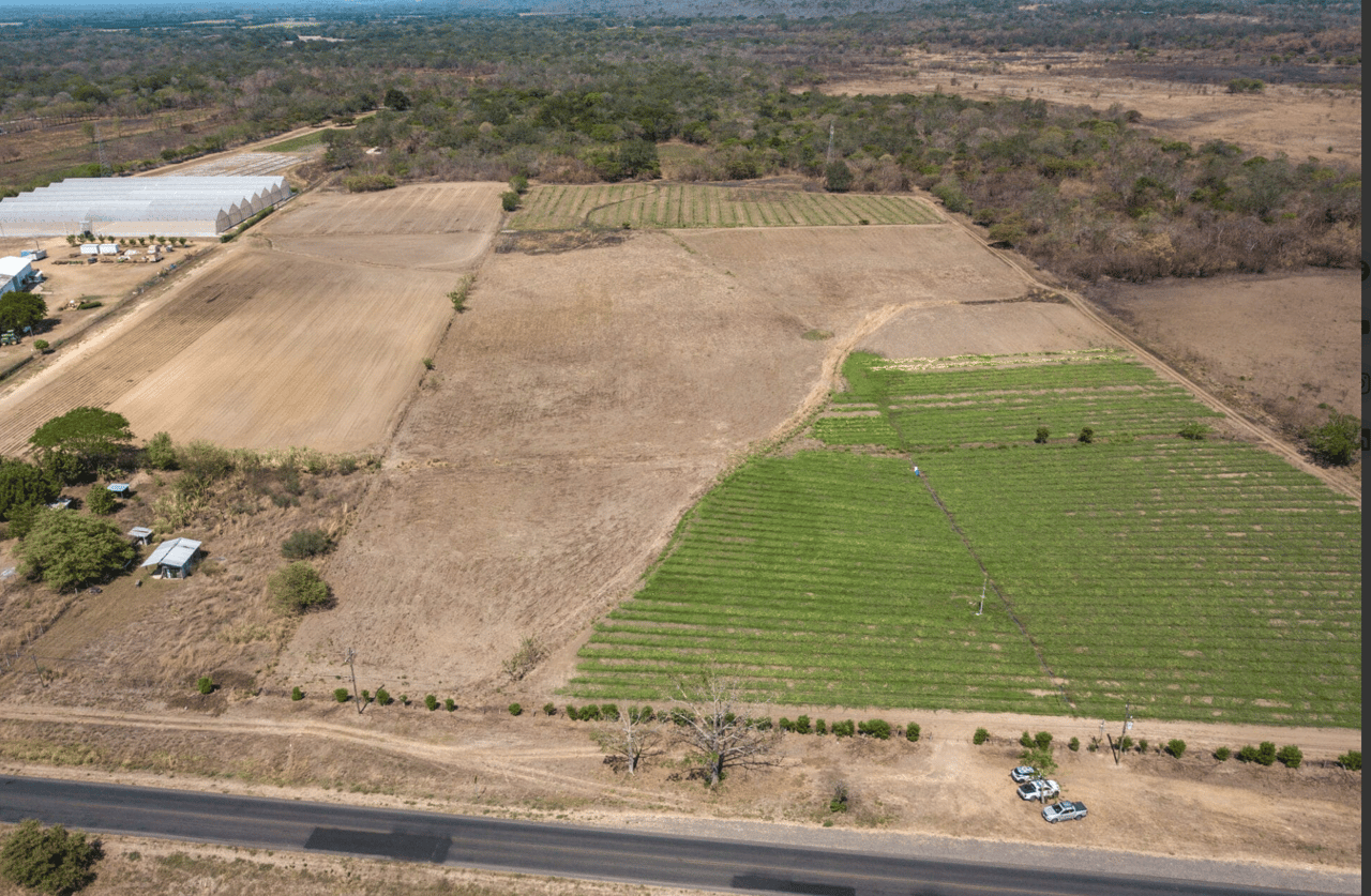 Liberia Canas Dulce 20 Acre Residential Or Commercial Development Opportunity! 