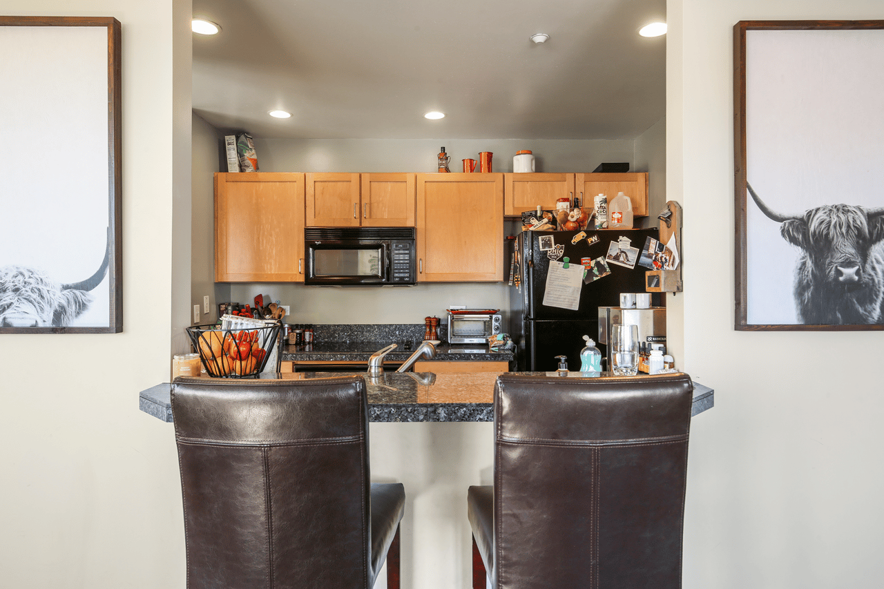 300 W. 11th Avenue #14B, Denver, CO 80204