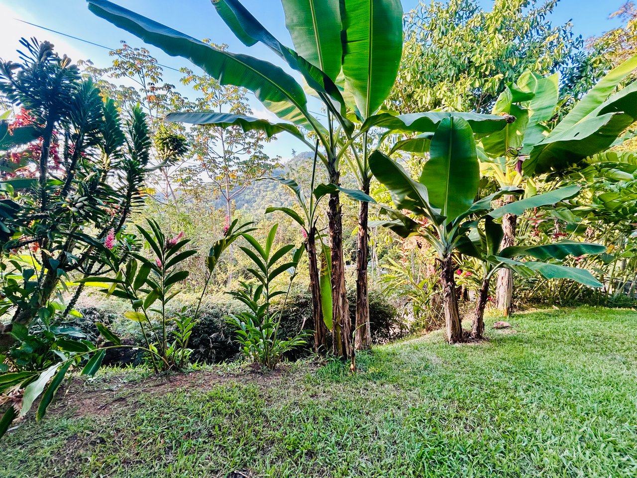 Tropical 2BR Home Near Playa Hermosa Beach | Successful Airbnb Rental in Uvita